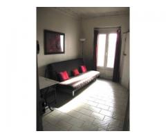 Lovely studio available. 15eme. Close to Eiffel Tower.