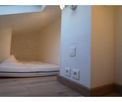 Small renewed studio for rent