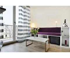 Lovely studio apartment EIFFEL TOWER