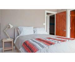 Newly renovated apartment