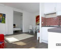 Paris beautifully renovated  apartment (3rd Arondissement)
