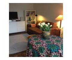 Lovely quiet sunny studio with balcony heart of Paris Canal st Martin