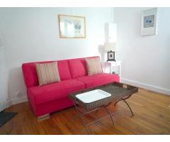 Charming furnished studio  in the 15th arrondissement