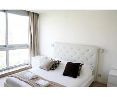 Furnished 3 bedroom apartment  located on Avenue de Versailles
