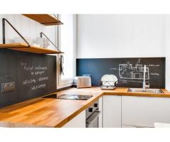 Beautifully decorated and newly renovated  one bedroom apartment irue Saint Maur