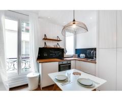Beautifully decorated and newly renovated  one bedroom apartment irue Saint Maur