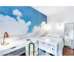Beautifully decorated and newly renovated  one bedroom apartment irue Saint Maur