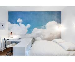 Beautifully decorated and newly renovated  one bedroom apartment irue Saint Maur