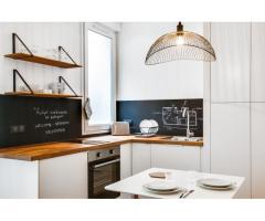 Beautifully decorated and newly renovated  one bedroom apartment irue Saint Maur