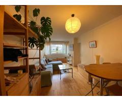 Magnifique appartement