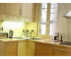 Elegant one-bedroom offers a stylish and full furnishings amenities (Le Marais)