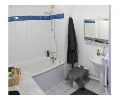 Bedroom with private bath close to Parc des Buttes Chaumont (PARIS 19th)